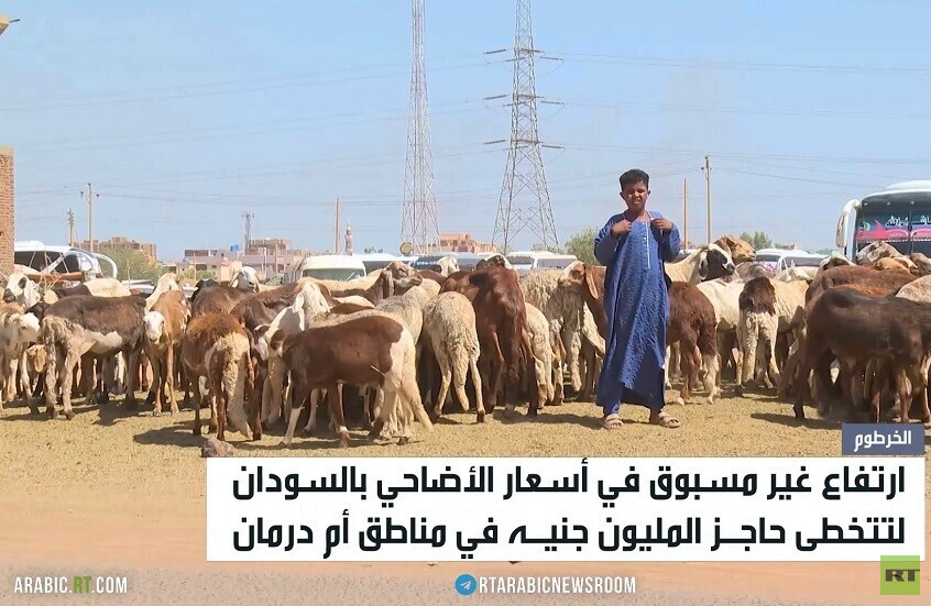 ارتفاع أسعار الأضاحي في السودان