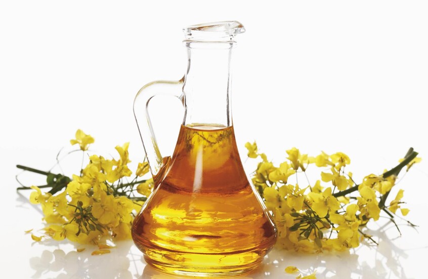 للمرة الأولى في التاريخ.. روسيا تتوسع في سوق المغرب بصادرات جديدة