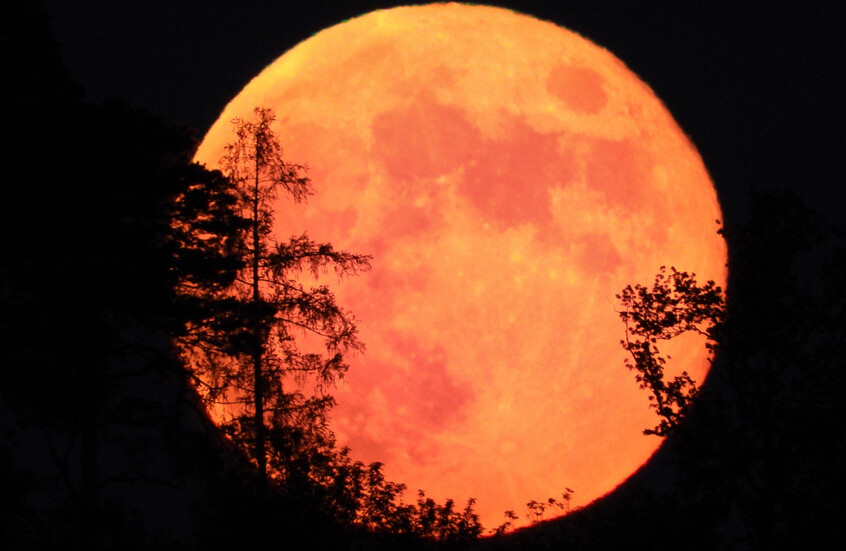 مشهد فلكي استثنائي.. "قمر الفراولة" يلامس الأفق في عرض سماوي نادر