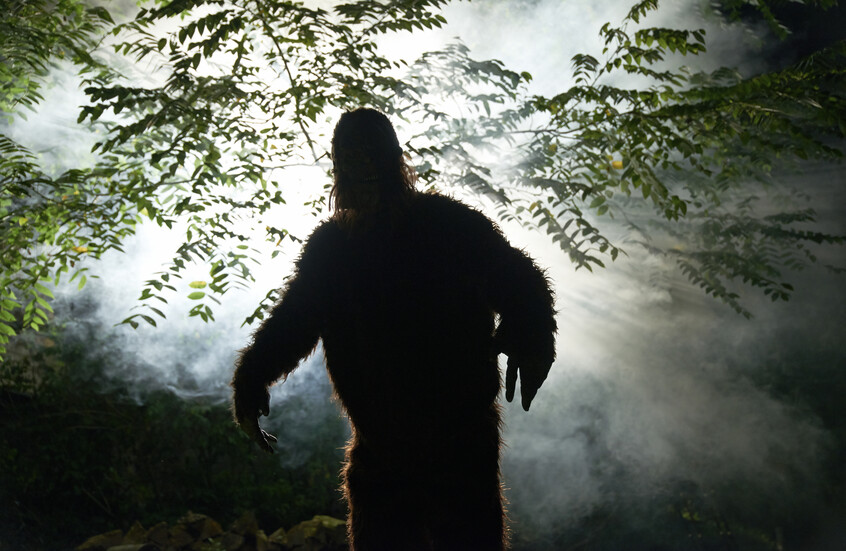الولايات المتحدة.. مخلوق غريب يثير الذعر في غابات كولورادو.. رصد  الكائن الأسطوري "بيغ فوت"(فيديو)