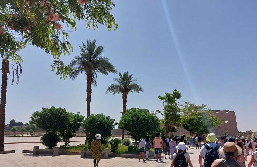 القضاء المصري يسدل الستار على قضية هتك عرض سائحة أمريكية بالأقصر
