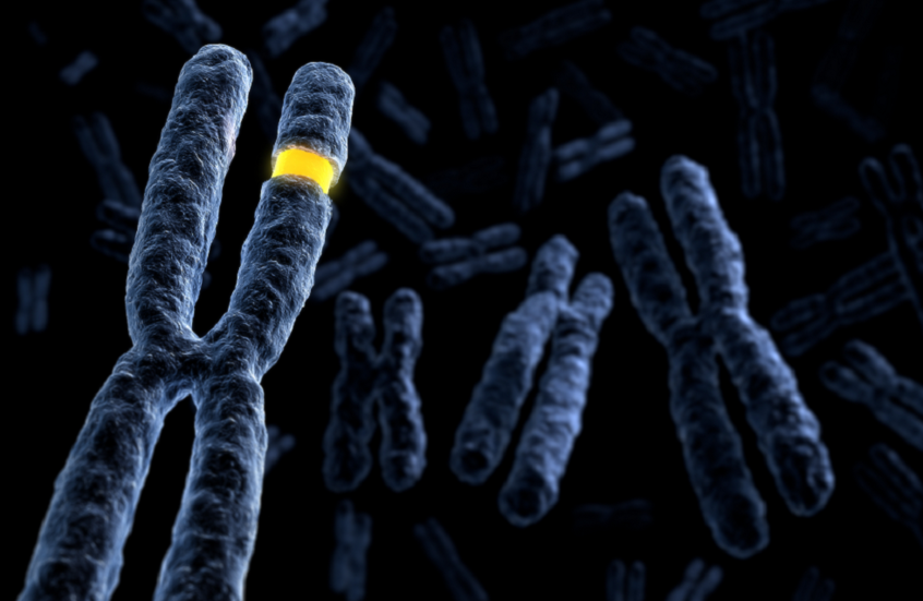 اكتشاف غير مسبوق يغيّر فهمنا لتحديد الجنس.. التغذية قد تلعب دورا حاسما!