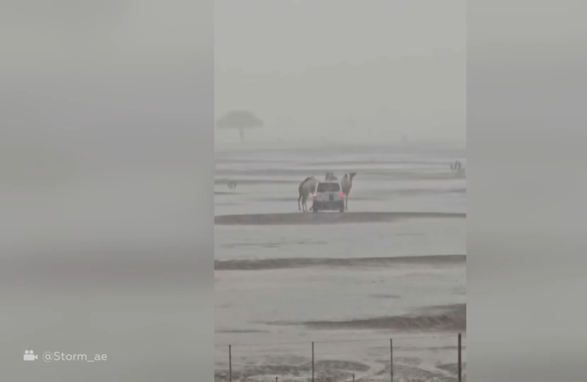 في مشهد نادر في الإمارات.. أمطار غزيرة تجتاح الشارقة