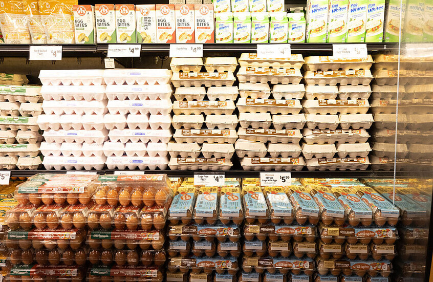 الولايات المتحدة.. سحب ملايين عبوات البيض من المتاجر بسبب تفشي بكتريا السالمونيلا