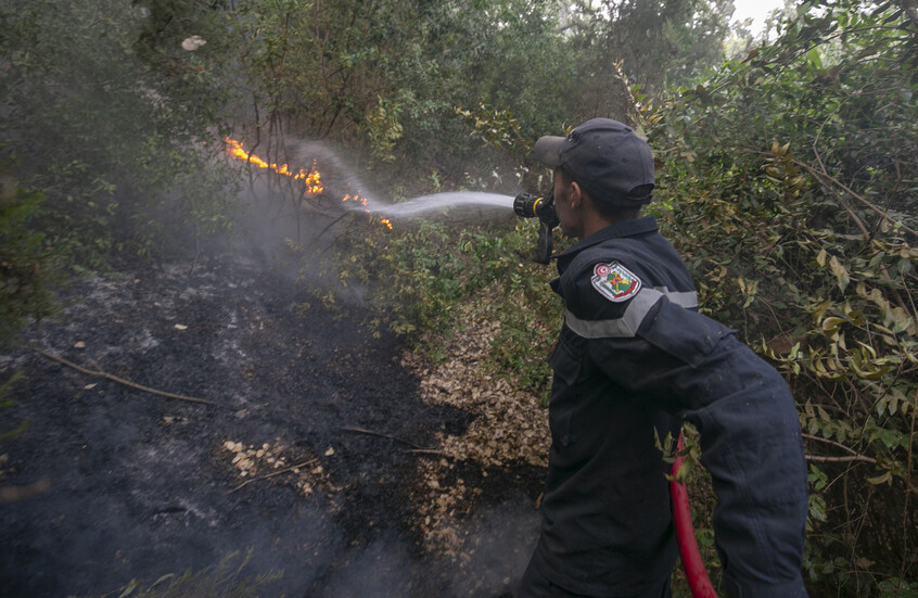 تونس.. جهود الحماية المدنية تواجه موجة حرائق قياسية