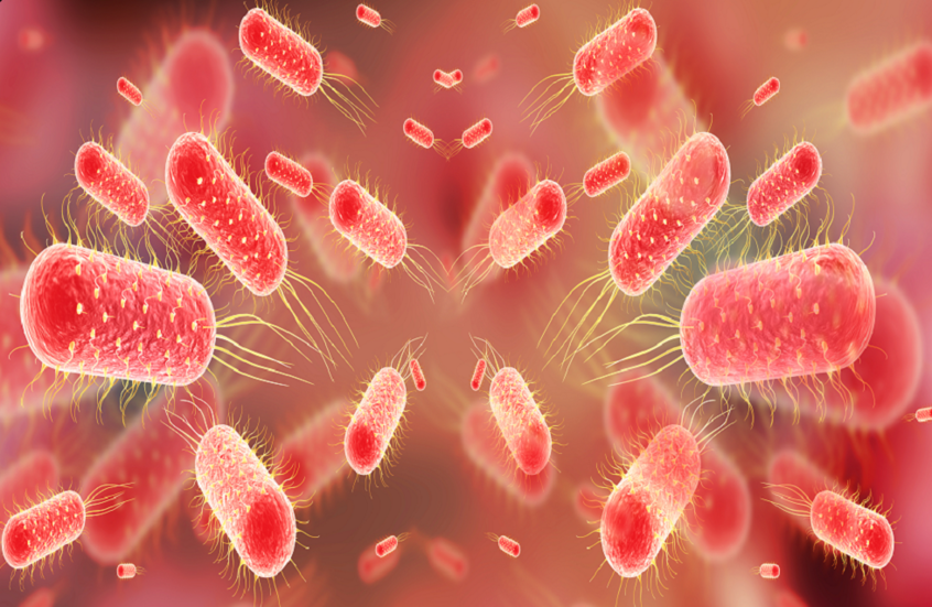 مضاد حيوي شائع قد يحدث تحولا في علاج حمى التيفوئيد