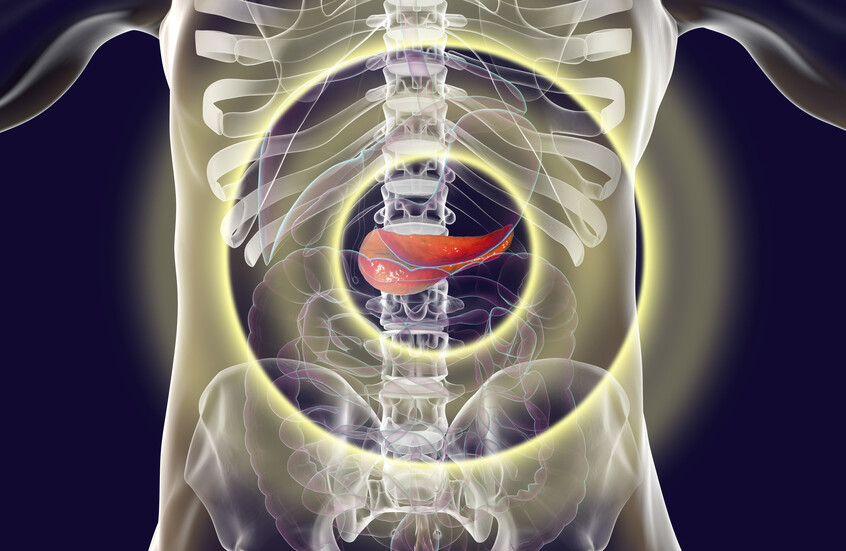 بخلاف البنكرياس.. عضو آخر في الجسم قادر على إنتاج الإنسولين!