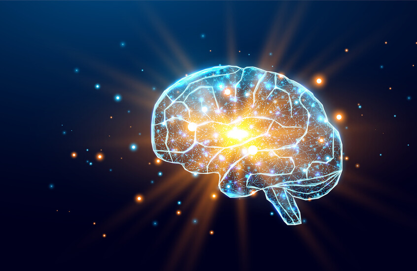 دراسة: الدماغ البشري يصدر توهجا ضوئيا خفيا يتغير مع النشاط العقلي