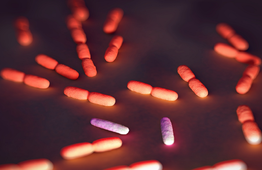 سحب منتجات دجاج من الأسواق الأمريكية بعد وفاة 3 أشخاص بالليستيريا