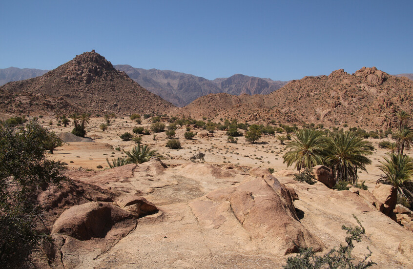 "مفاجأة علمية" تكشف سر انتشار البشر خارج إفريقيا قبل 50 ألف عام