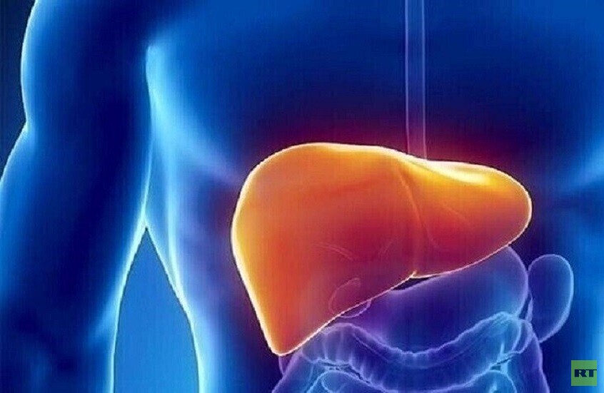 اكتشاف آلية جديدة تساهم في تطور تليف الكبد