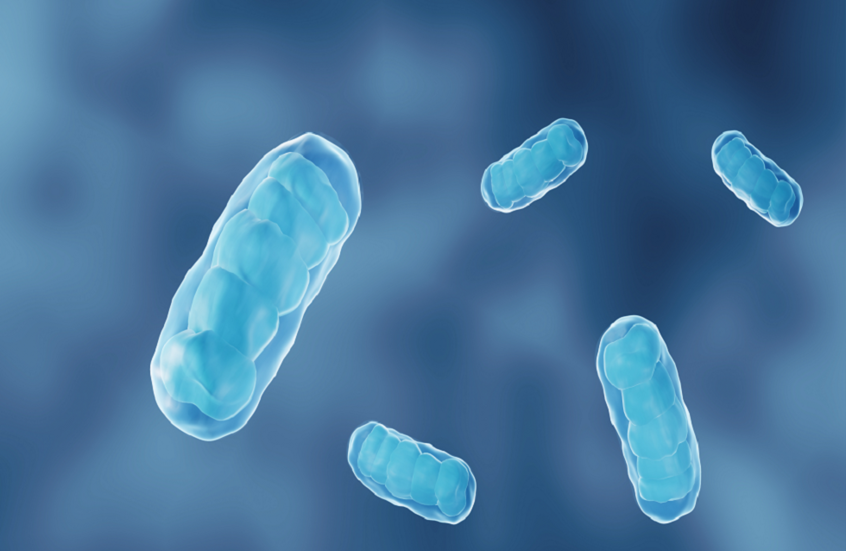 إنجاز غير مسبوق.. تصحيح طفرات "بطاريات الطاقة" داخل خلايا بشرية