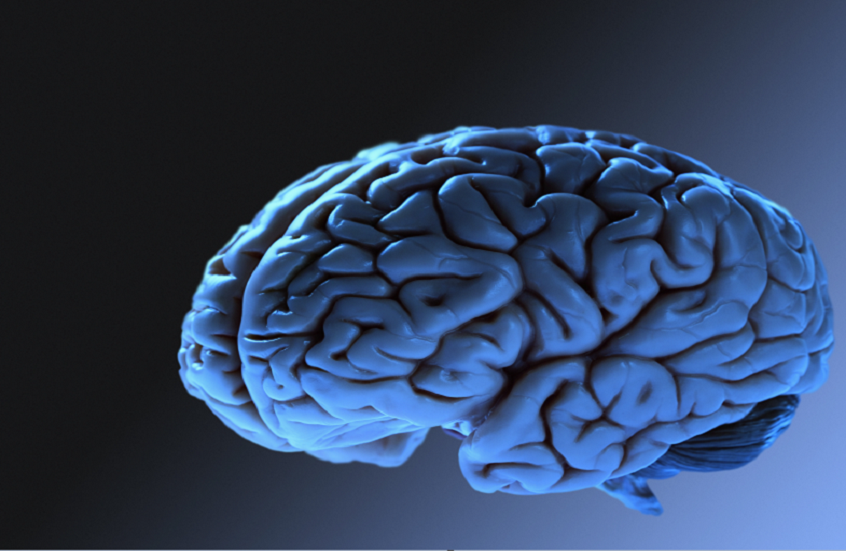 دراسة تسلط الضوء على القدرات الفريدة للعقل البشري