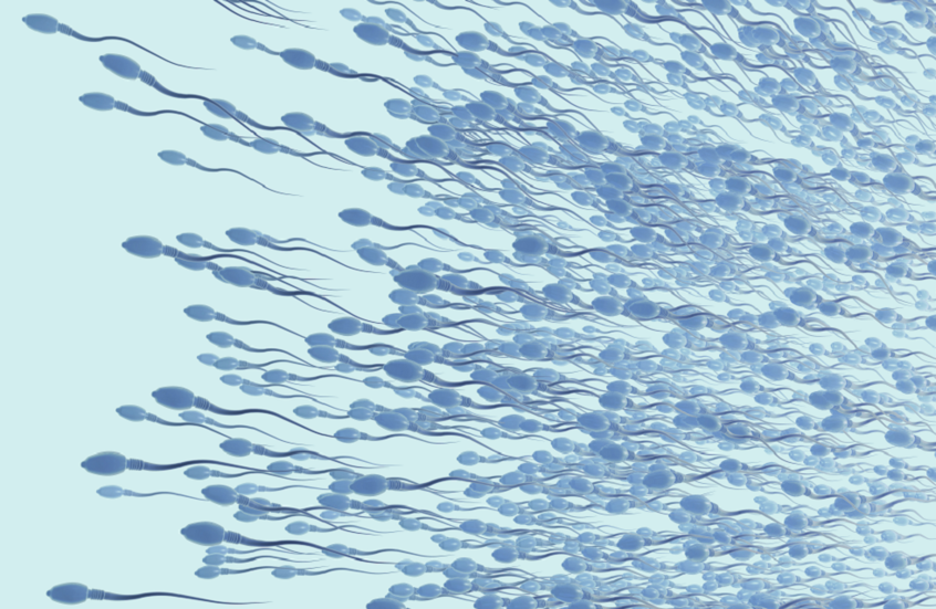 "حساسية السائل المنوي" وتأثيرها على الصحة الجنسية للنساء والرجال