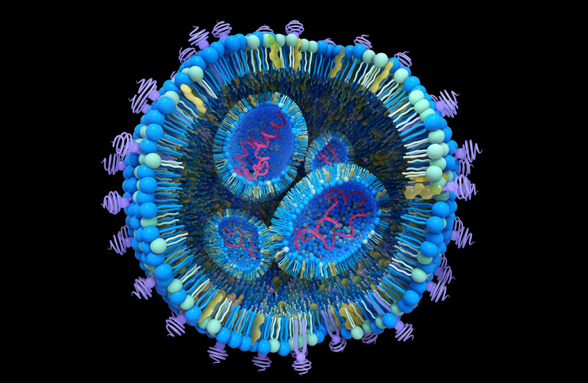 اكتشاف مذهل في الخلايا البشرية قد يكون المفتاح لعلاج أمراض وراثية