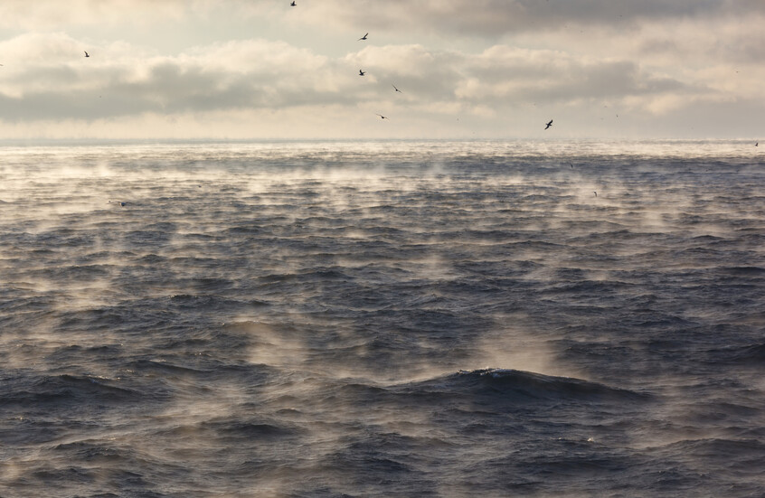 حل لغز البقعة الباردة الغامضة في المحيط الأطلسي