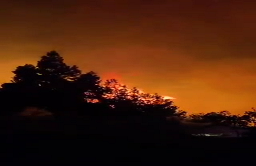 حريق كبير في أحراج بلدة القبيات في عكار شمالي لبنان (فيديو)