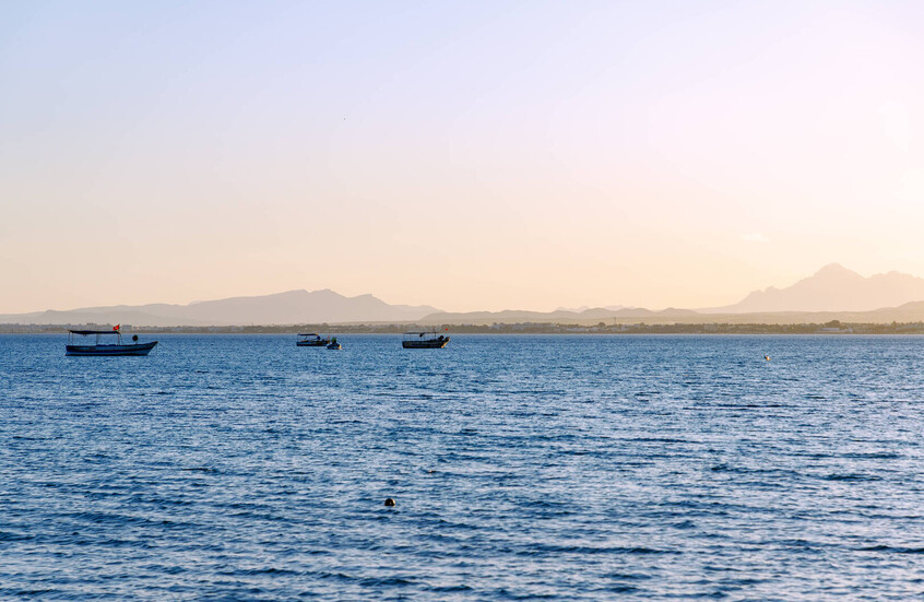 تونس.. العثور على جثة "الطفلة مريم" في عرض البحر بمدينة بني خيار الساحلية