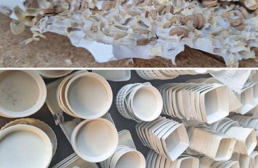 السعودية تحبط تهريب أكثر من نصف مليون قرص أمفيتامين مخبأة في زجاج وبورسلان قادم من لبنان