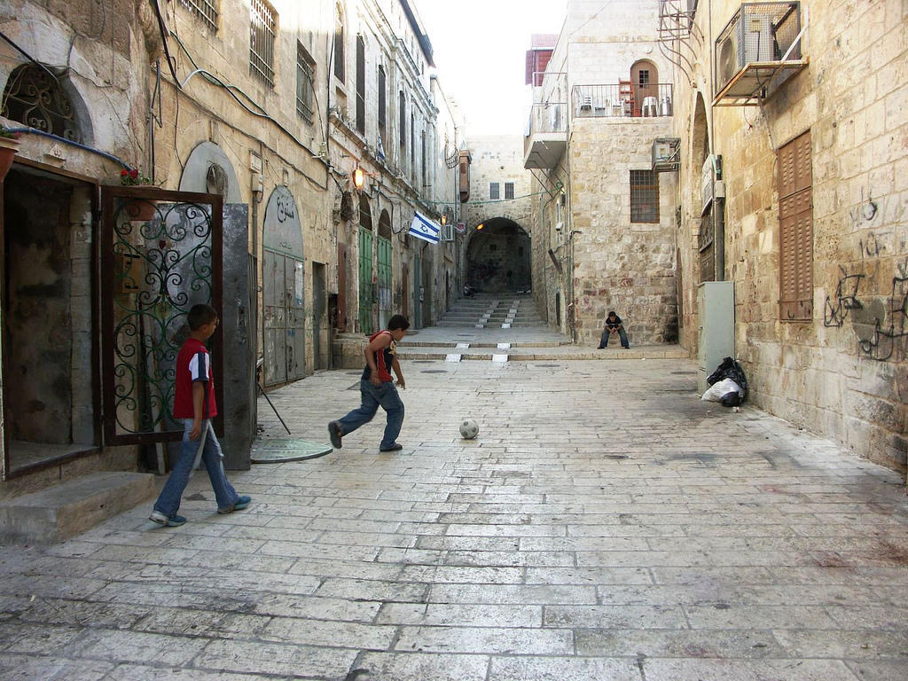 شبكة الحلم : 