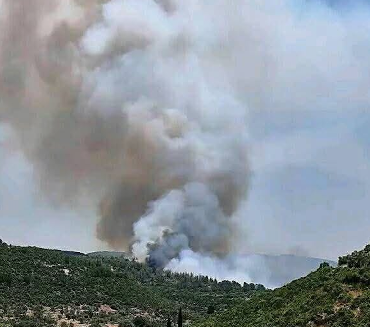 سوريا.. حريق جديد في أحراج مدينة مصياف خلف جبل القاهر بمحافظة حماة