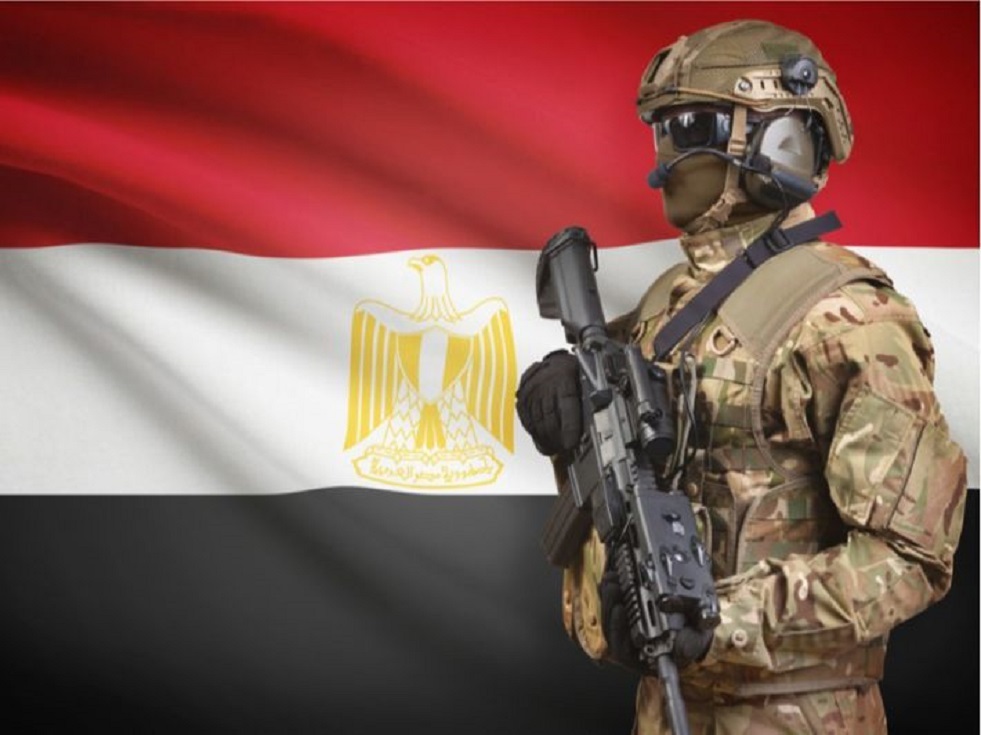 شبكة الحلم : 