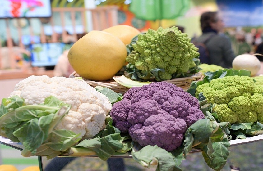 أنواع الملفوف المفيدة لعلاج أمراض النساء