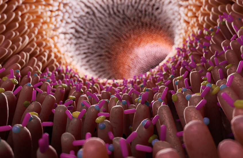 اكتشاف بكتيريا في الأمعاء البشرية تحول المواد الكيميائية المسببة للسرطان إلى فضلات!