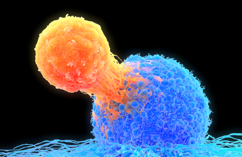 اختراق طبي.. شريحة بحجم بطاقة ائتمان قد تحدث ثورة في علاج السرطان