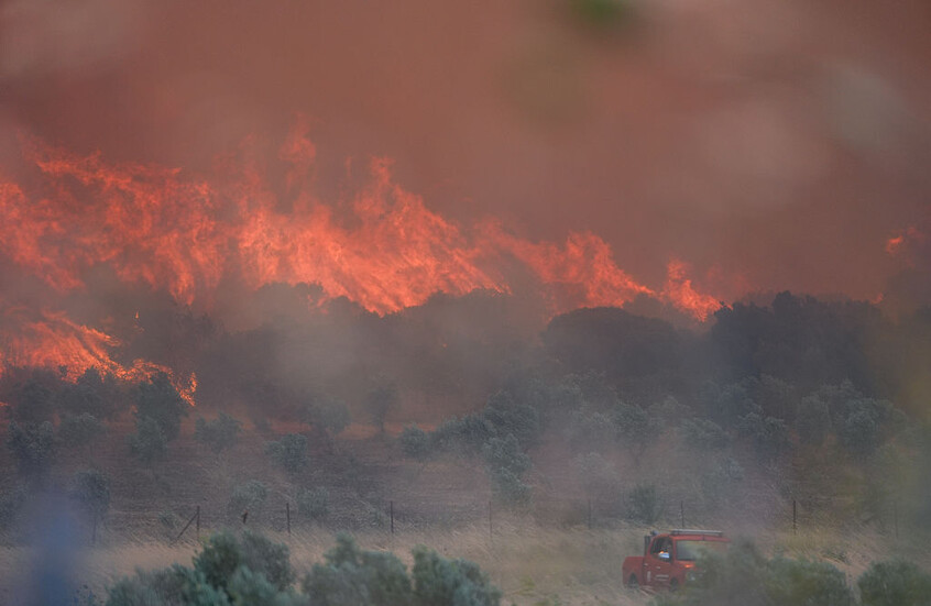 تركيا.. ريح عاتية تؤجج حرائق الغابات في إزمير