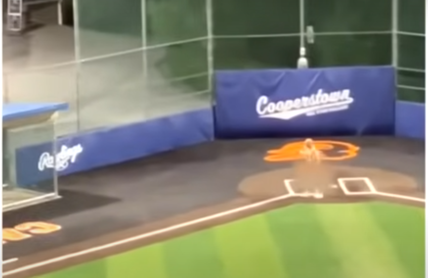 مشهد "وقح" وغير متوقع في نيويورك.. والسلطات تتحرك (فيديو)