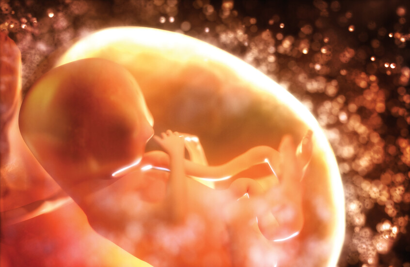 متى ينشأ الشعور بالألم لدى الإنسان؟.. دراسة تحسم الجدل