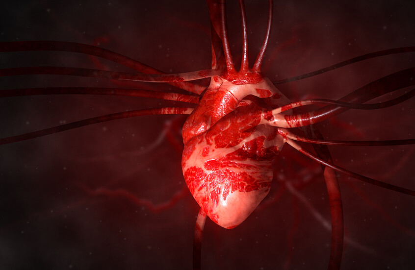 علماء صينيون ينجحون في زراعة نسيج قلبي بشري داخل خنزير