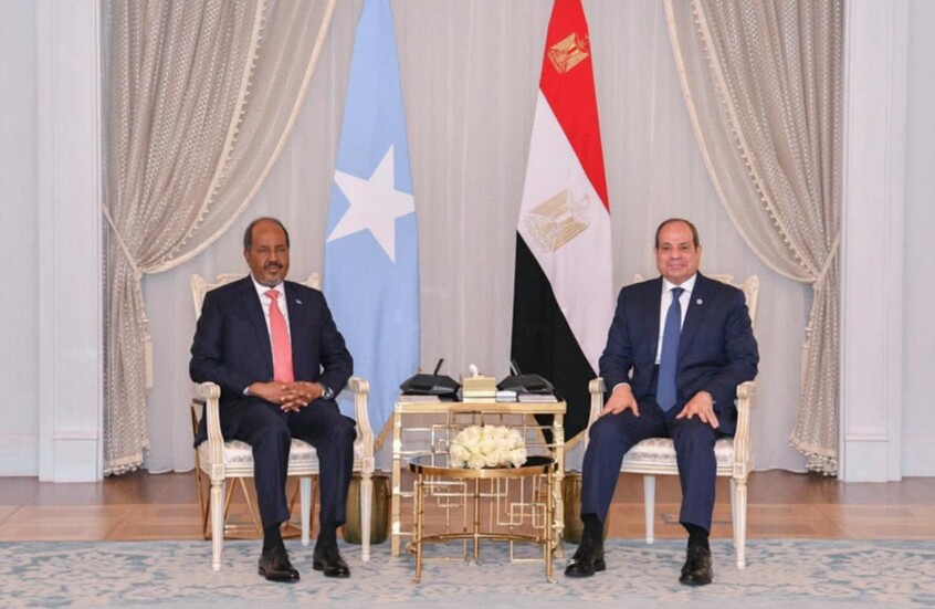 هل هو "تحذير مصري لإثيوبيا؟".. خبراء يتحدثون عن علاقة سد النهضة بلقاء السيسي وحسن شيخ محمود