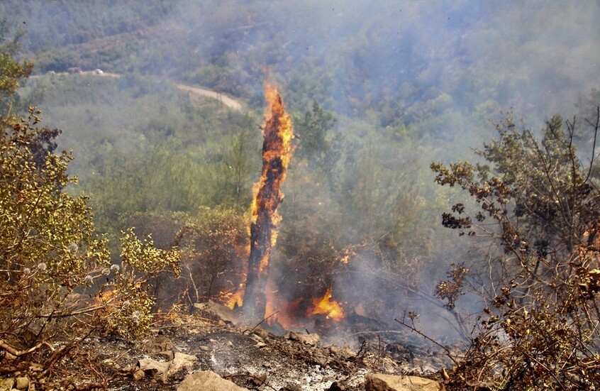 اندلاع حريق ضخم جديد في سهل الغاب بريف محافظة حماة السورية (صور)