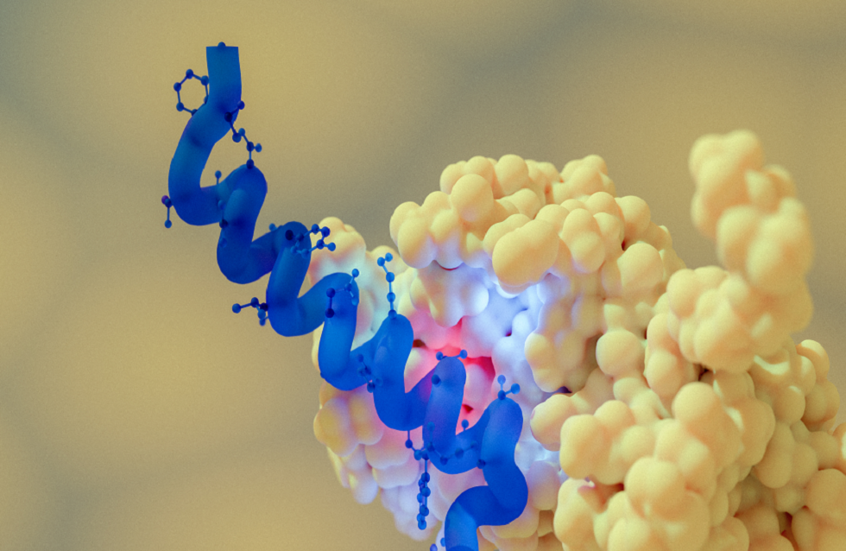بلا مضاعفات.. طريقة جديدة تجعل الجسم ينتج "أوزمبيك طبيعي"!