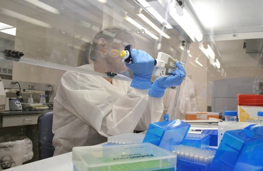 خلايا جذعية لعلاج أمراض الكبد دون جراحة