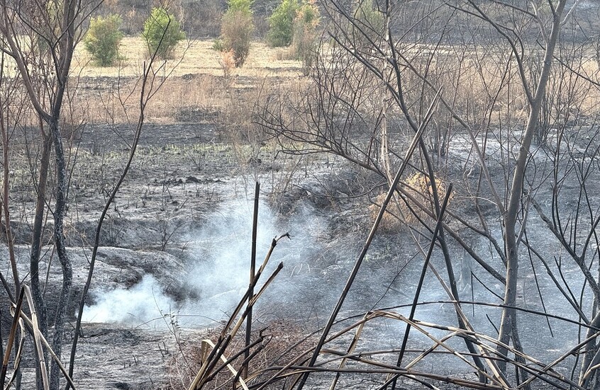 سوريا.. انفجار ضخم في اللاذقية بسبب مخلفات الحرب في مناطق الحرائق (فيديو)