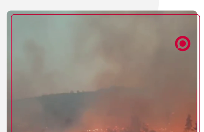 حرائق الغابات في اللاذقية تتسبب بإجلاء السكان وإغلاق معبر حدودي مع تركيا