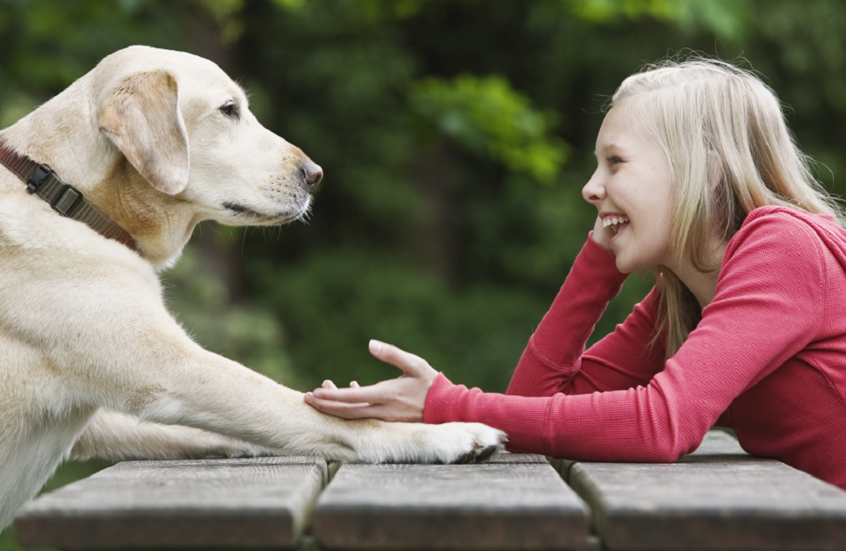مشروع جدلي.. تواصل جديد بين البشر وحيواناتهم عبر الذكاء الاصطناعي