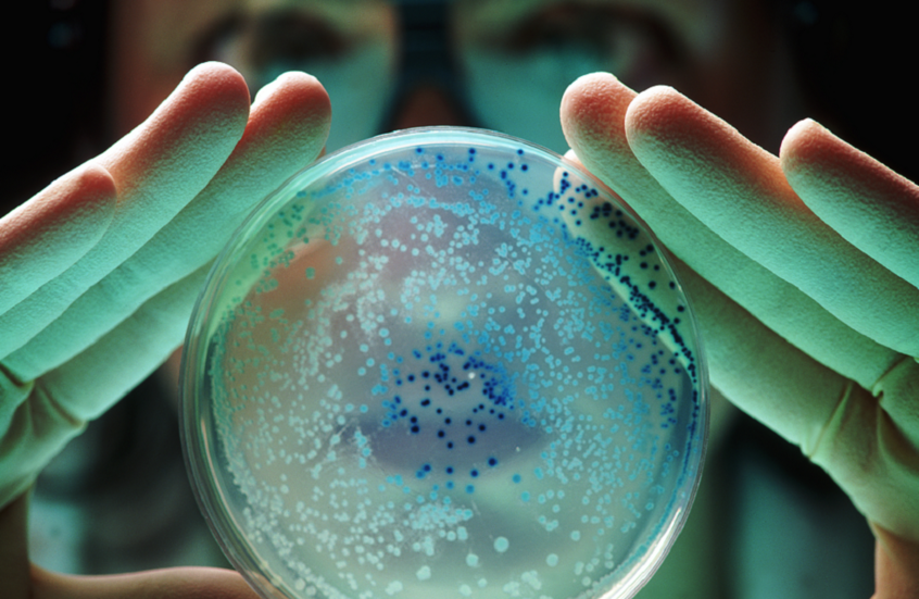 تحذير صحي.. أداة يستخدمها ملايين الأشخاص أكثر قذارة 40 مرة من مقعد المرحاض