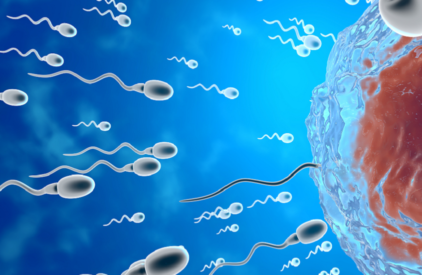 لا تقتصر على الخصوبة فقط.. جودة السائل المنوي مؤشر لصحة الرجال العامة