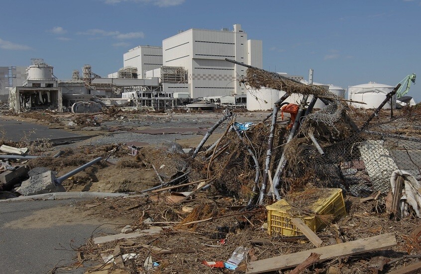 دراسة تأثير الإشعاع على الحيوانات في فوكوشيما وتشيرنوبيل