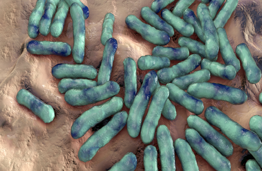 أشياء يومية تعجّ بالبكتيريا الخفية المهددة للصحة