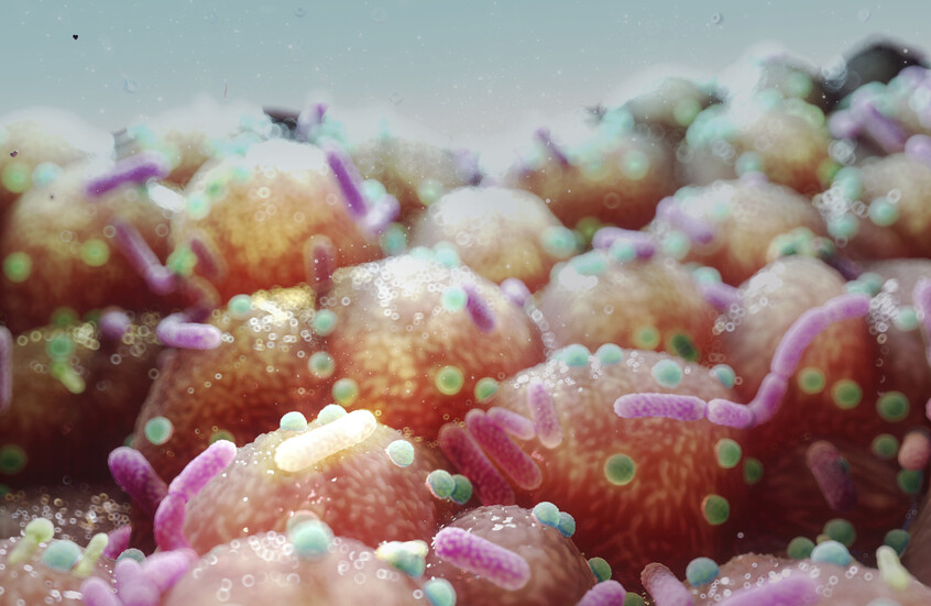 اكتشاف "حاسة سادسة" تتحكم بشهيتنا وسلوكياتنا