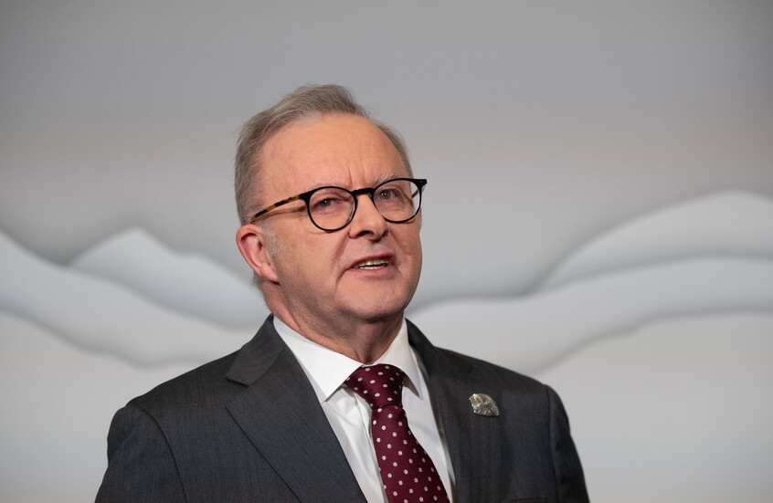 ألبانيز: كل حياة بريئة مهمة.. كل إسرائيلي.. كل فلسطيني