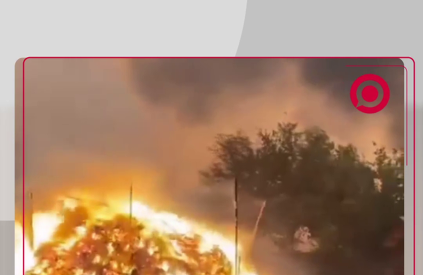 محافظات إزمير وبيله جك التركية تشهد اندلاع العديد من حرائق الغابات 