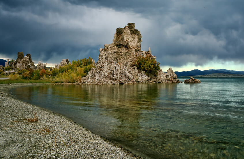 قرار غير مسبوق.. مجلة علمية تسحب دراسة مثيرة للجدل حول شكل غريب للحياة