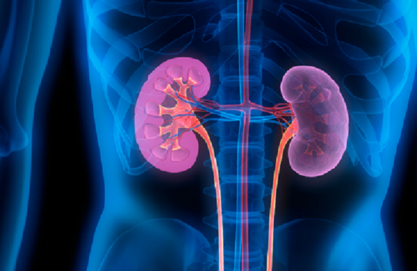 الكشف عن رابط بين صحة الفم وأمراض الكلى!