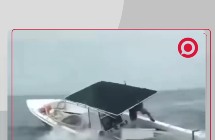حوت يقلب قاربا سياحيا في الإكوادور